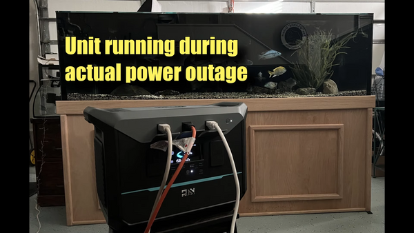 Ensuring Aquarium Safety During Power Outages: A Review of the DaranEner NEO2000 UPS